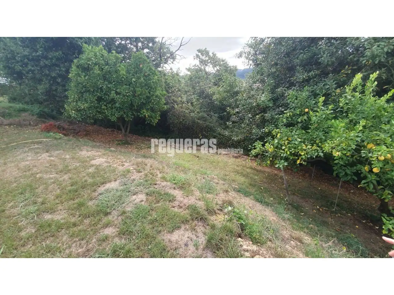 Lands and plots for sale in Magdalena, imagen 4