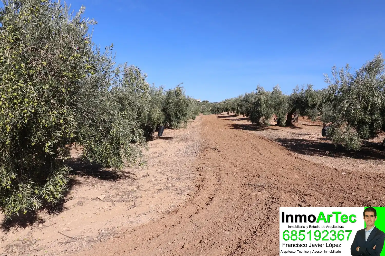 Finca rústica en venda en Iznalloz amb Jardí privat, Terrassa i Piscina