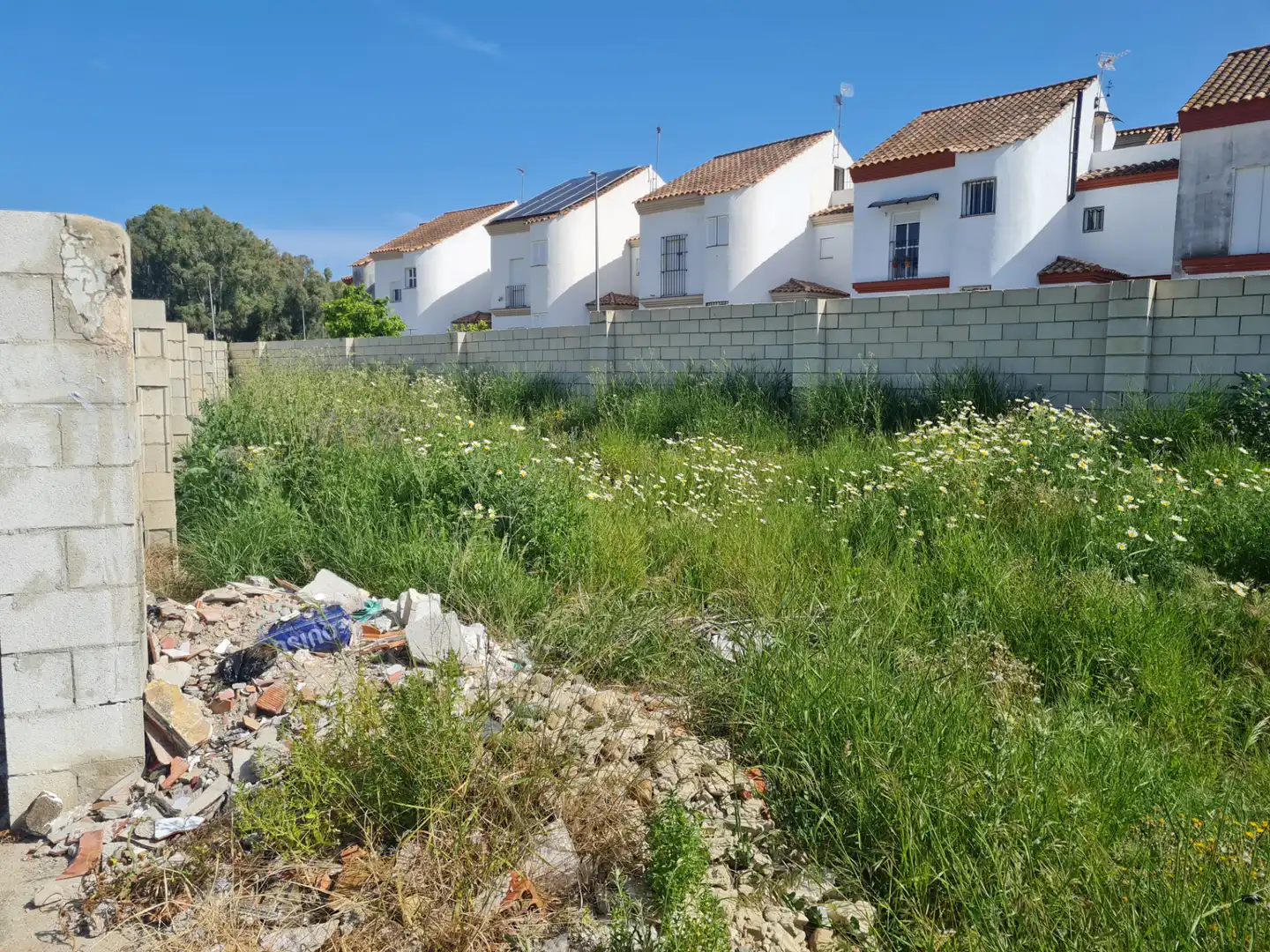 Terreny residencial en venda a Calle Murillo 107, imagen 3