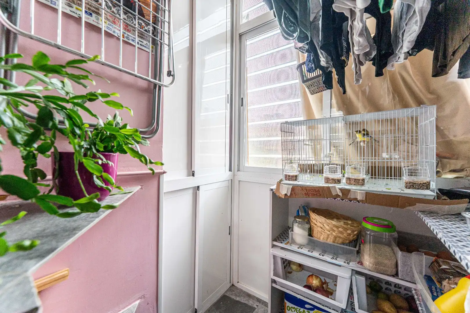 Wohnung mit Pool zum Verkauf in DE LA SILVINITA, imagen 14