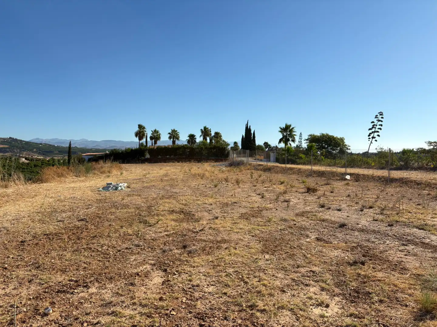Terreno rustico in vendita a Camino Cuesta del Palmar, imagen 3