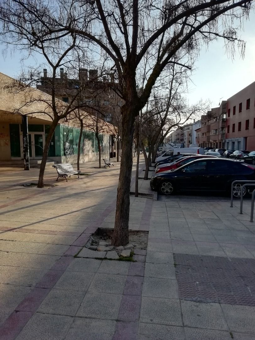 Vista exterior de Local de lloguer en Pinto