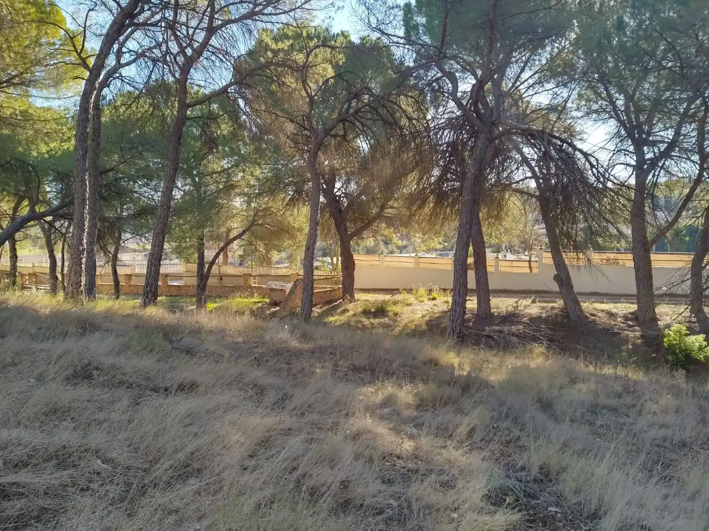 Terreny rústic en venda a Villalgordo del Júcar, imagen 2