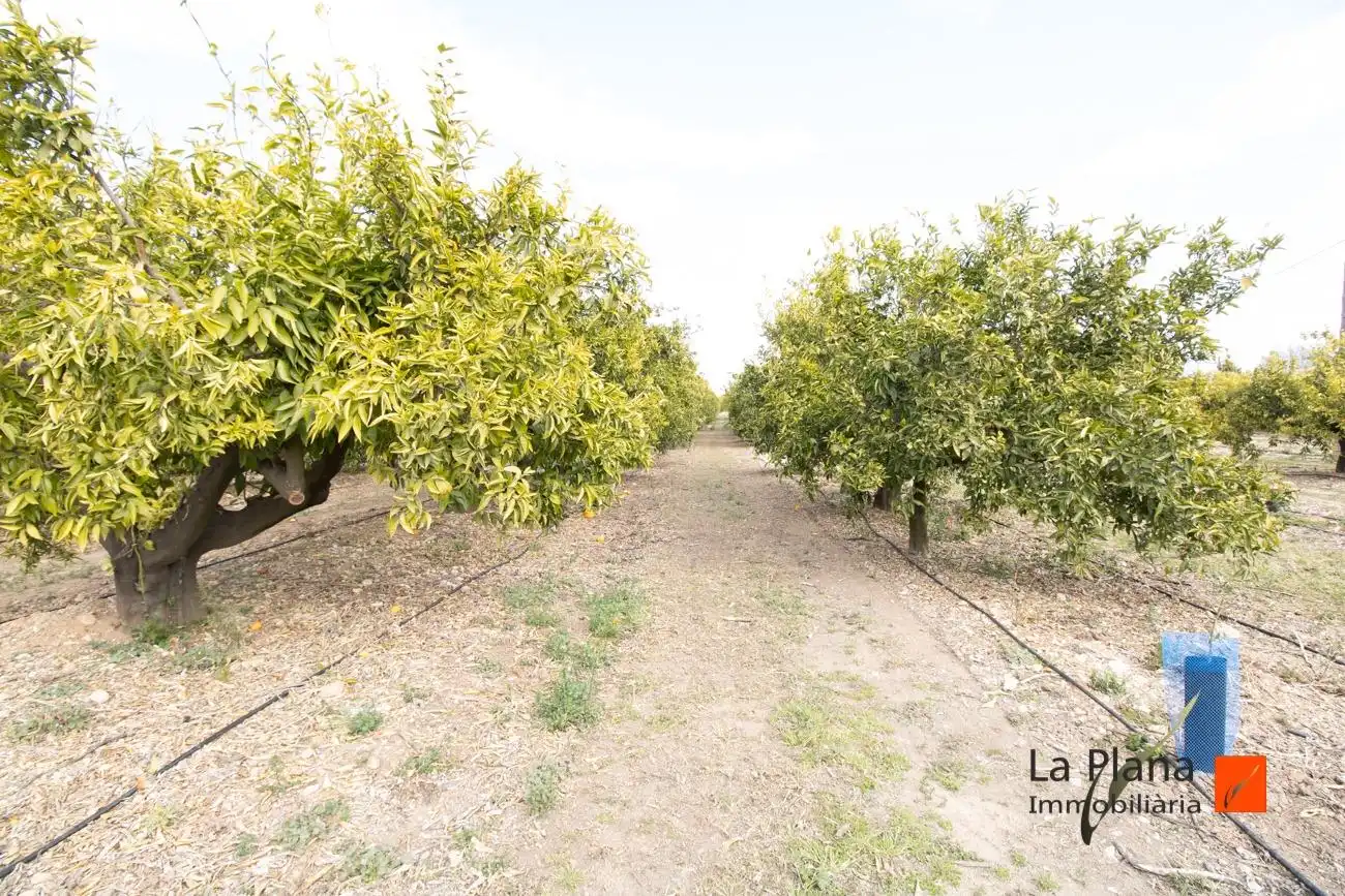 Finca rústica en venda en Santa Bàrbara amb Aire condicionat, Piscina i Moblat