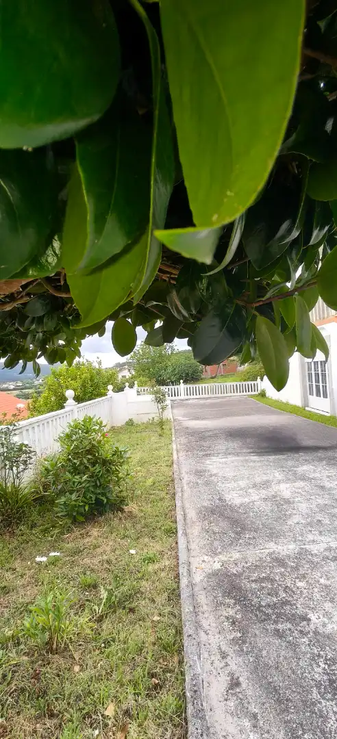 Exterior view of Houses for sale in Cedeira  with Heating, Private garden and Parquet flooring