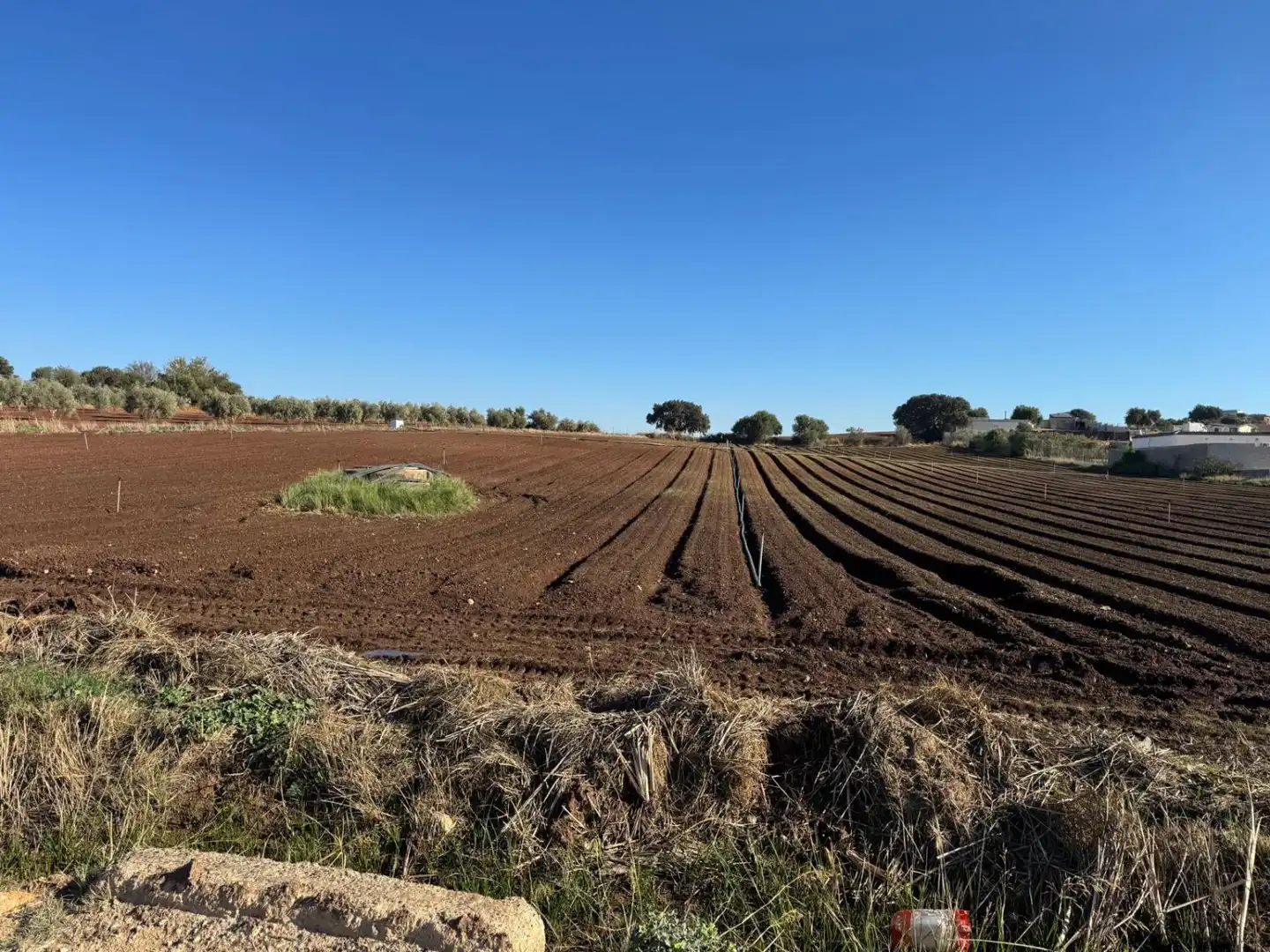 Casa rustica in vendita a Arcos de la Frontera, imagen 7