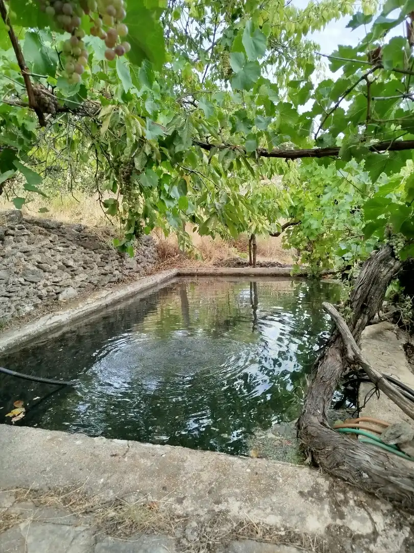 Rural land for sale in Alpujarra de la Sierra, imagen 25