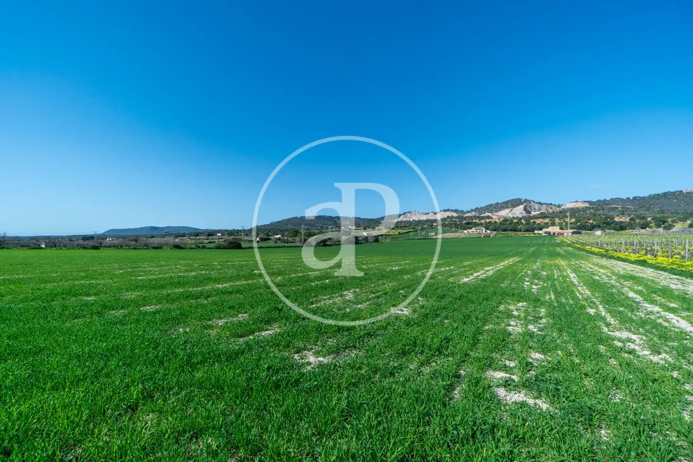 Residential for sale in Porreres