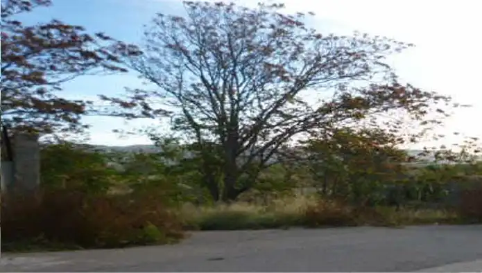 Rural land for sale in C/ Del Pino - Unidad Ejecución Seis de Sobradiel -, imagen 7