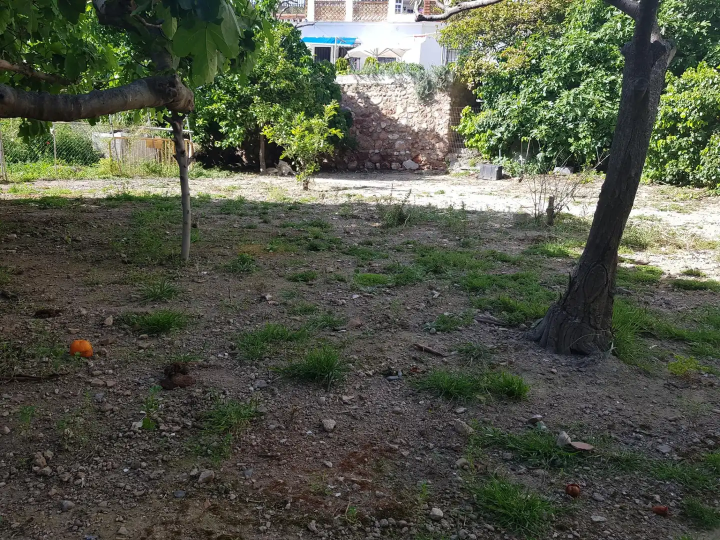Terrenos y solares en venta en Calle Los Bancales, imagen 4