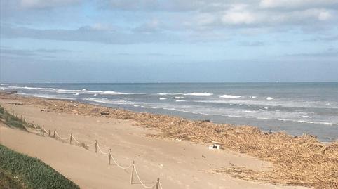 Foto 2 de Terreno en venta en Proc. Simplificado, Sn, -1, El Dossel - Mareny de San Lorenzo, Valencia