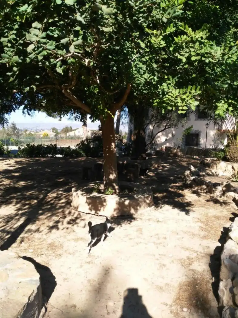 Garden of Country homes for sale in Lorca  with Air Conditioner, Heating and Private garden