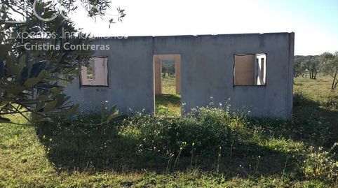 Foto 2 de Finca rústica en venta en Almonte ciudad, Almonte