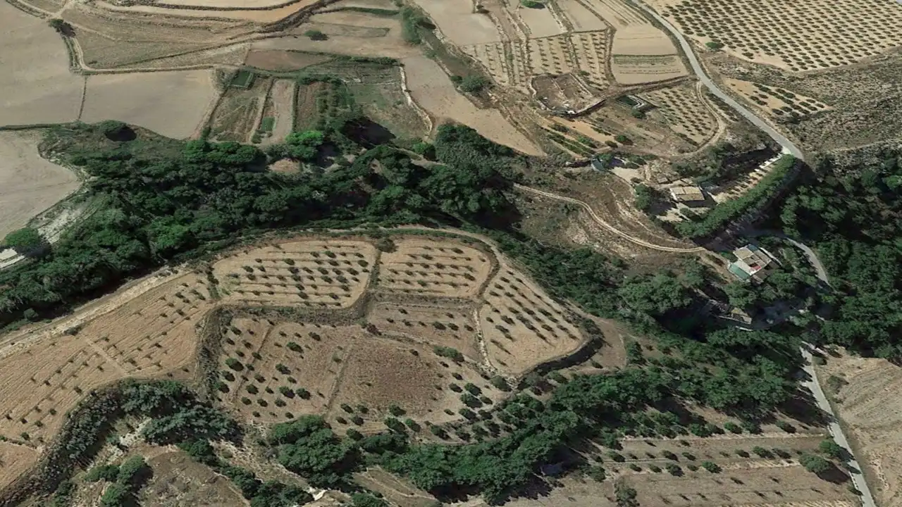 Terreny rústic en venda a Ptda Molino del Estrecho de la Encarnación, imagen 3