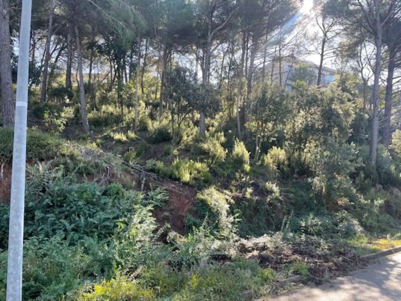 Rustikales Grundstück zum Verkauf in Calle Pollancre, imagen 17