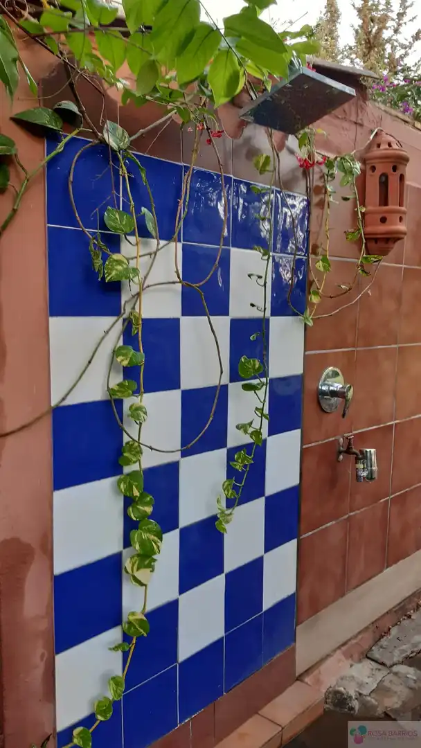 Terreni e lotti in vendita a San Pedro de Alcántara, imagen 10
