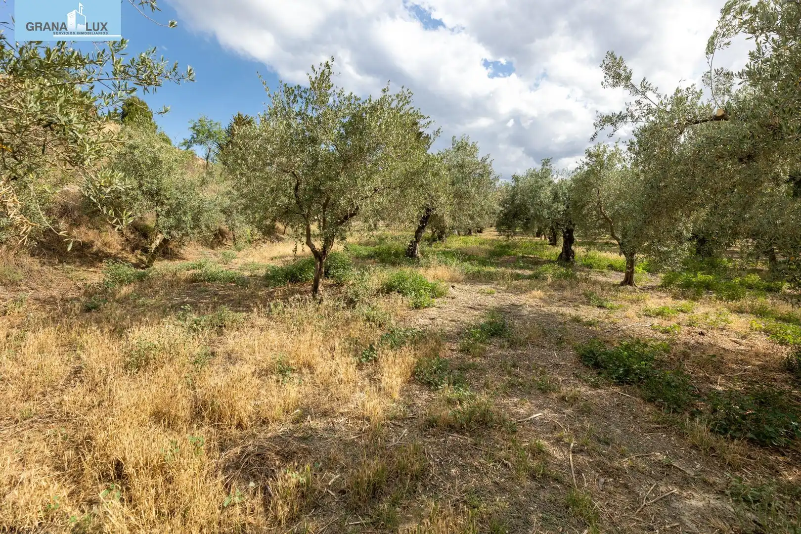 Terreno rustico in vendita a Calle POL 1, PARC 176, imagen 17