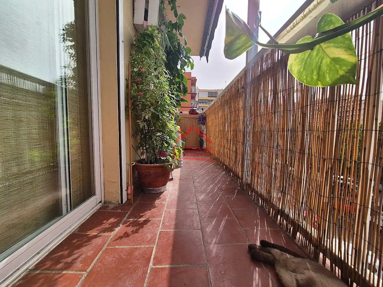 Terraza de Apartamento en venta en Vélez-Málaga con Terraza
