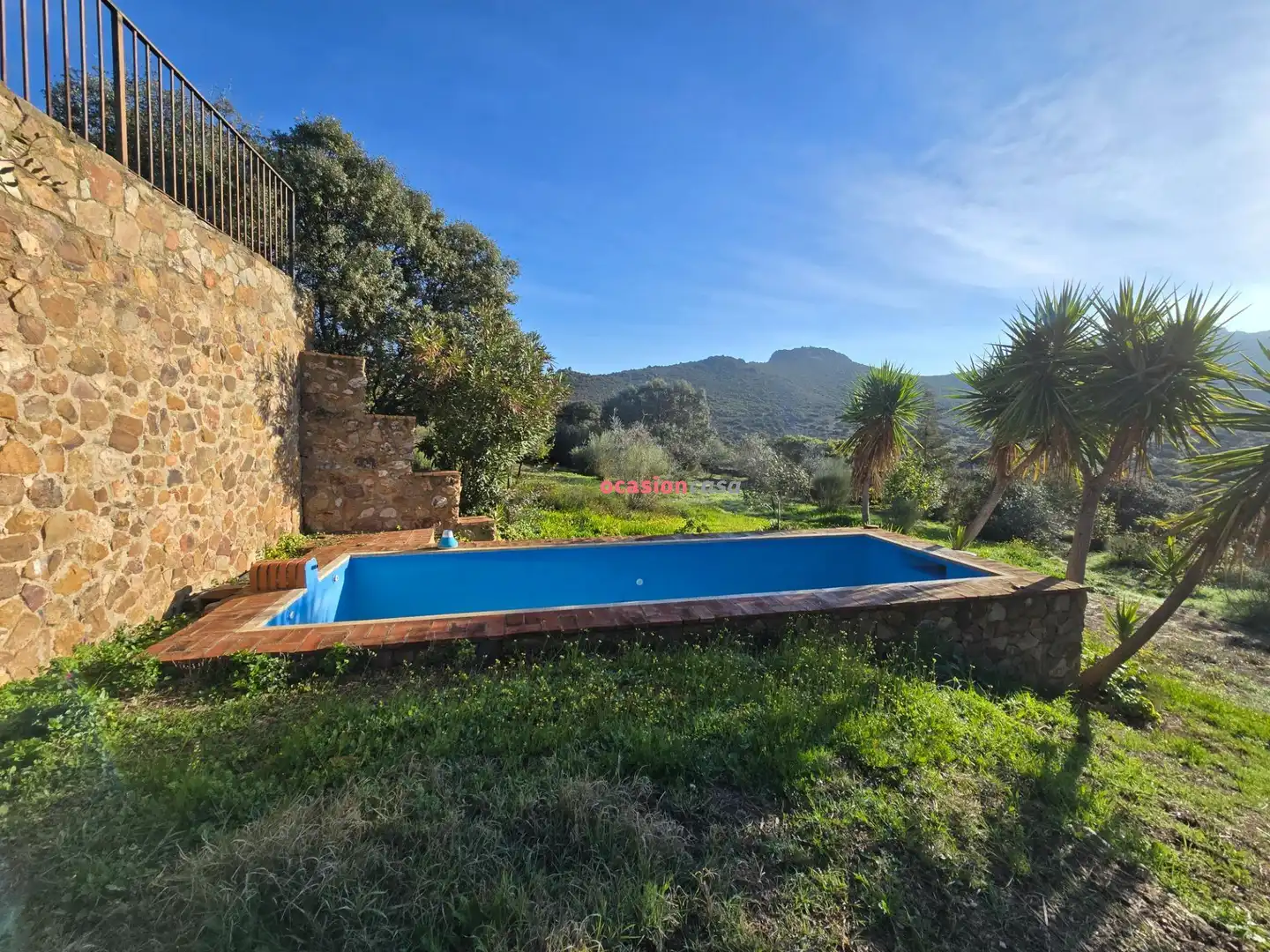 Jardín de Casa o chalet en venta en Santa Eufemia