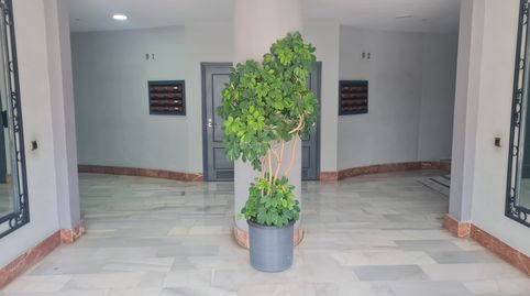 Foto 3 de Dúplex en venda a Calle Carretera Bética, 1, San José de la Rinconada, La Rinconada