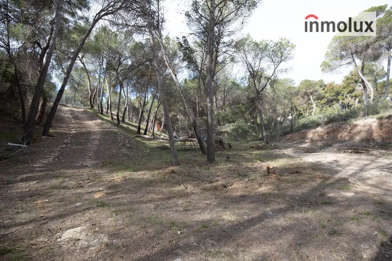 Terreno en venta en Tibi