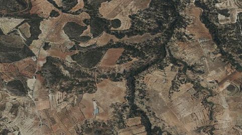Gran Oportunidad de Inversión en Subastas de Activos con Cesión de Remate!finca rústica en CEHEGIN, MurciaEstás buscando una inver, imagen 3