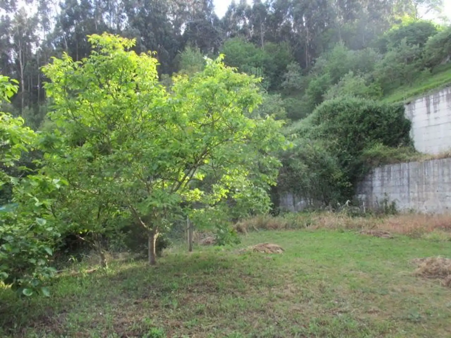 Residential land for sale in Vegadeo, imagen 2