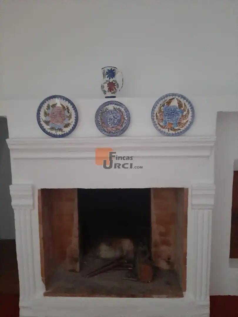 Casa amb jardí en venda a San Juan de los Terreros, imagen 10