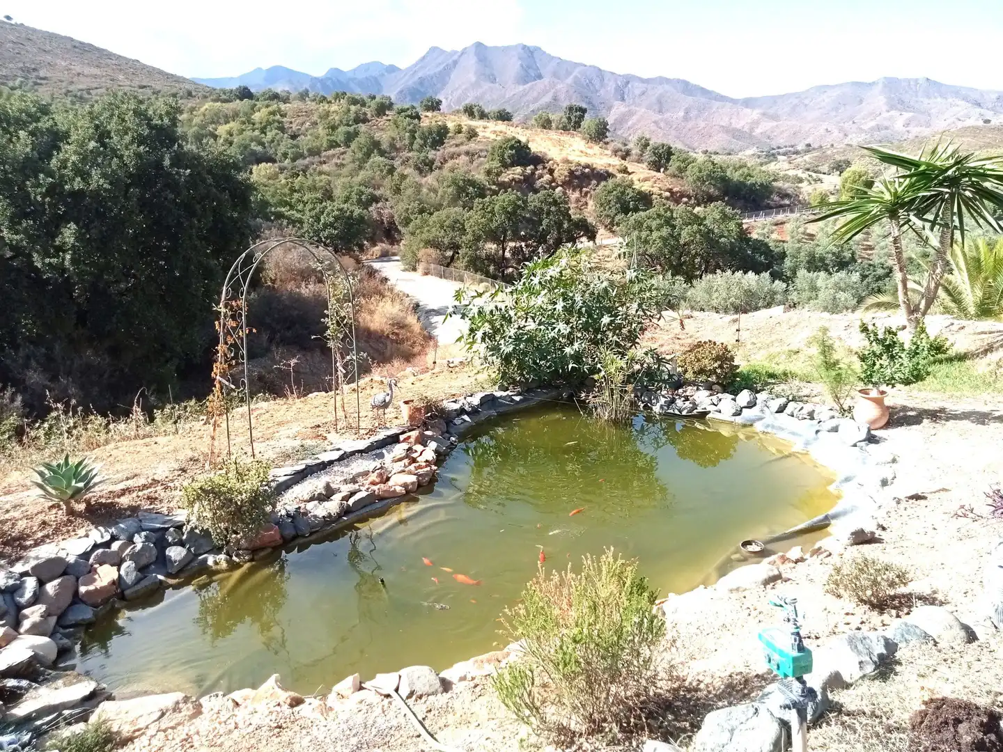 Vista exterior de Finca rústica en venda en Mijas amb Terrassa, Traster i Piscina