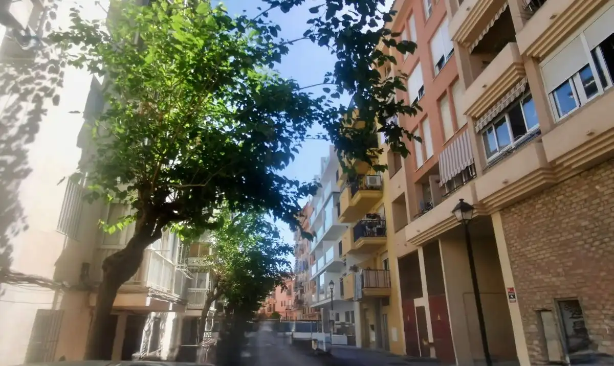 Local comercial en alquiler en Calle Rioja
