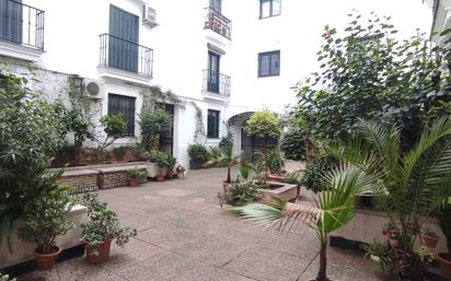 Garden of Apartment to rent in  Sevilla Capital