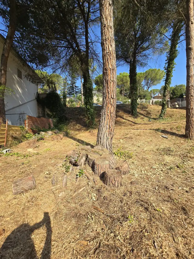 Terrenos y solares en venta en Vacarisses, imagen 7