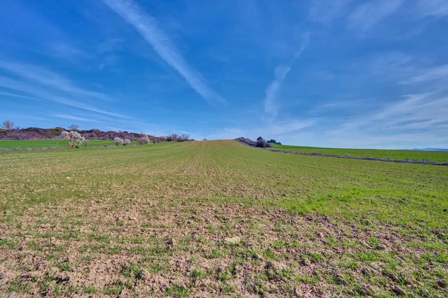 Rural land for sale in Sangüesa / Zangoza, imagen 39
