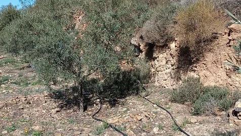 Photo 3 of Land for sale in Diseminado R37, 1, El Cortijuelo, Málaga Capital