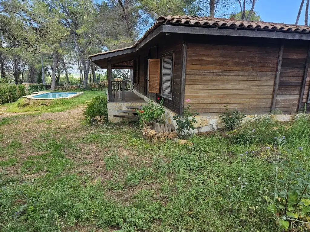 Jardín de Casa o chalet en venta en Alberic con Jardín privado, Terraza y Piscina