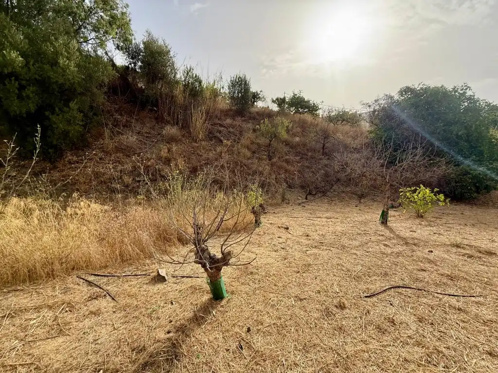 Casa o chalet en venta en Viñuela