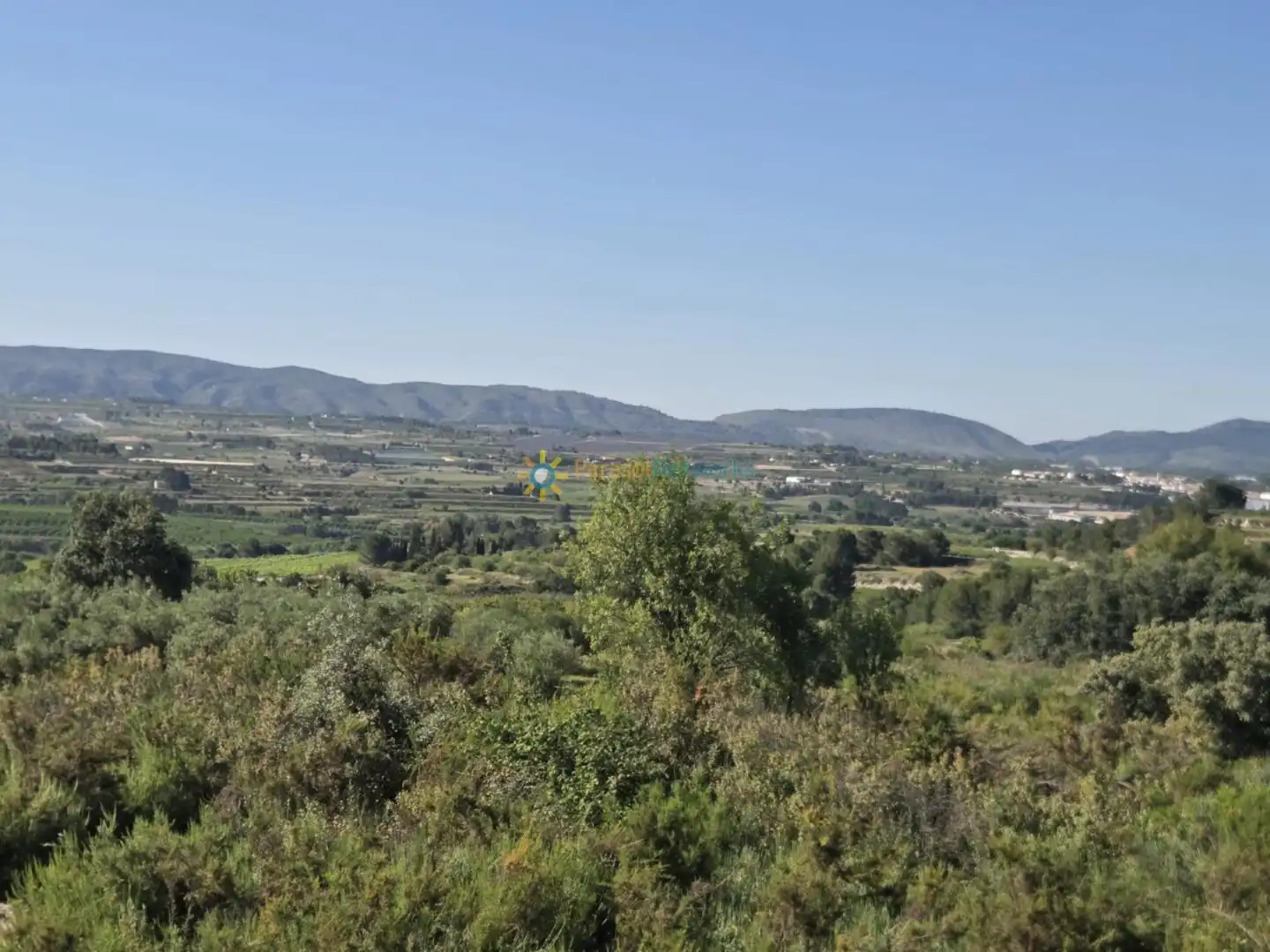 Rustikales Grundstück zum Verkauf in El Palomar, imagen 3