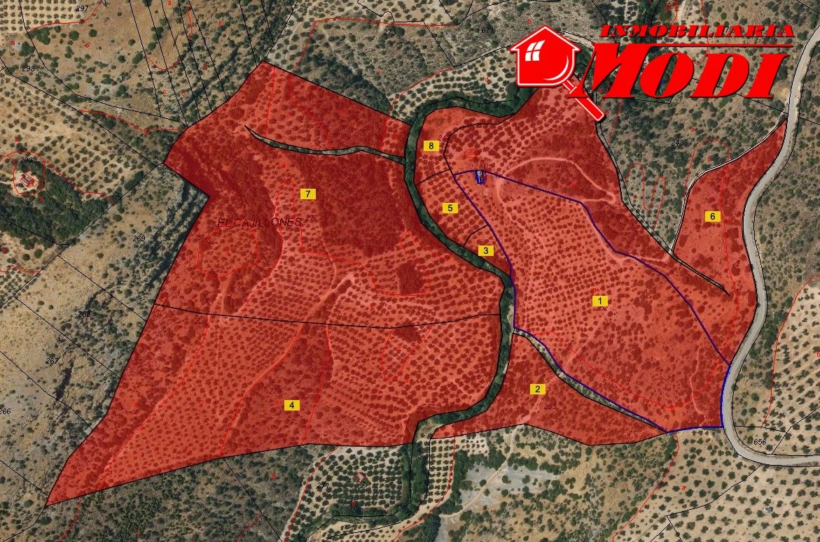 Residential to rent in Algarinejo