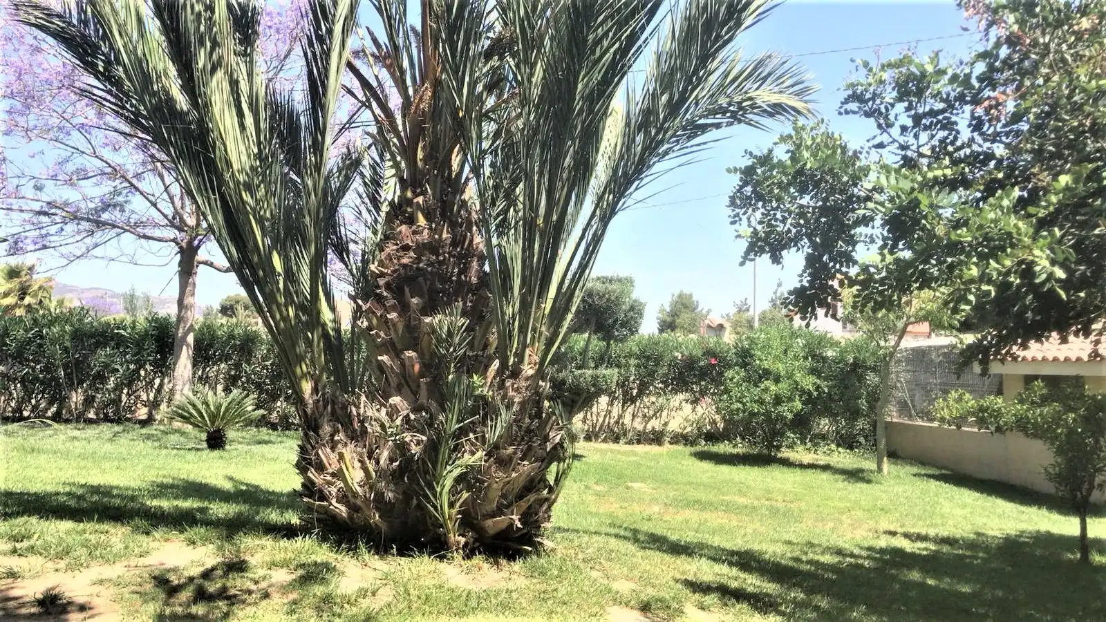 Xalet amb piscina en venda a Pedanías Centro, imagen 27