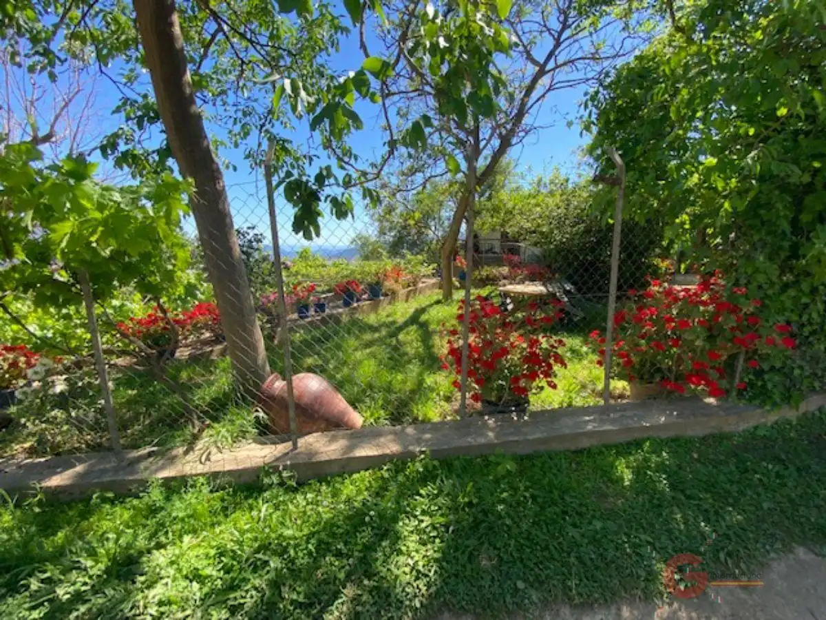 Finca rústica en venta en Lanjarón