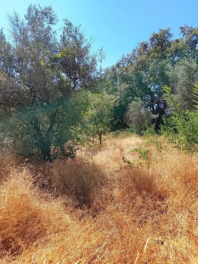 Terreni e lotti in vendita a Talaveruela de la Vera, imagen 19