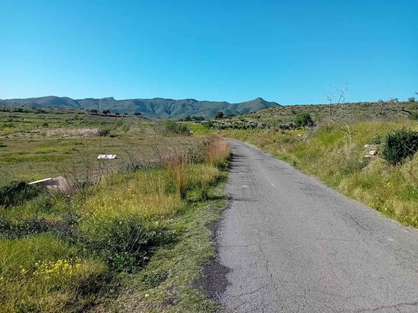 Exterior view of Land for sale in Cartagena