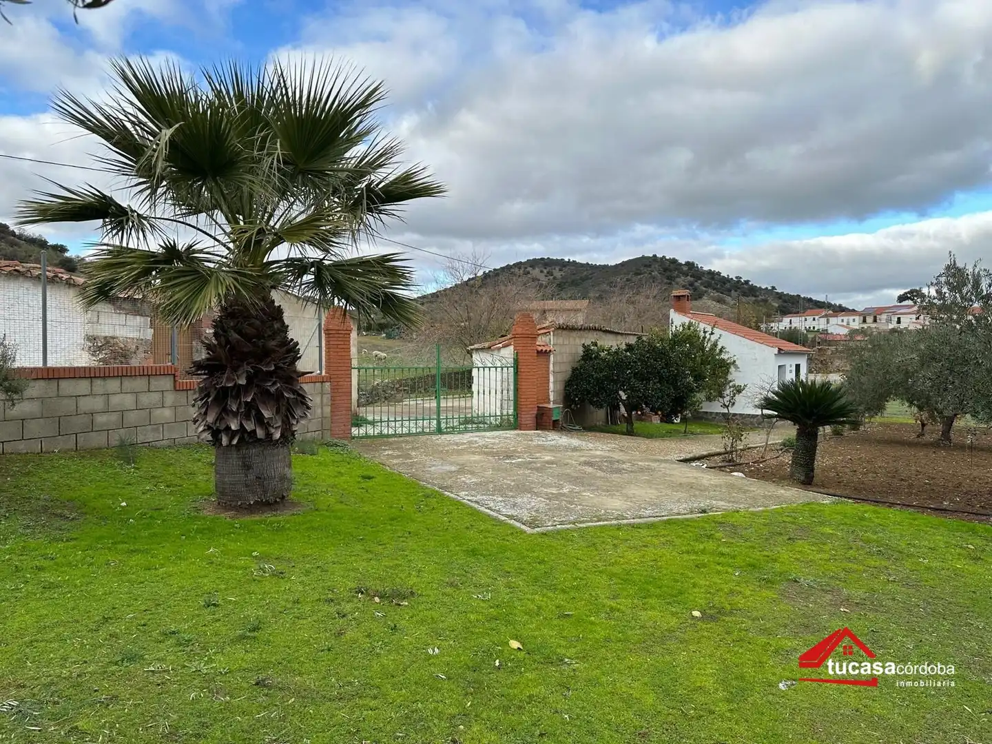 Terreno rustico in vendita a Villanueva del Rey, imagen 23