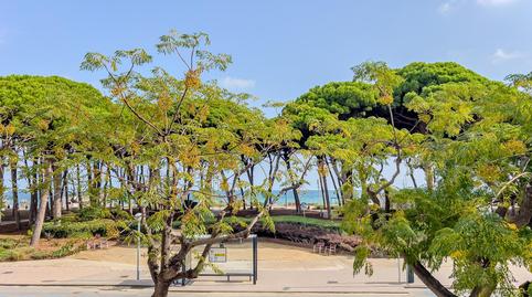 Photo 3 of Apartment for sale in Paseo de Pau Casals, La Pineda, Tarragona