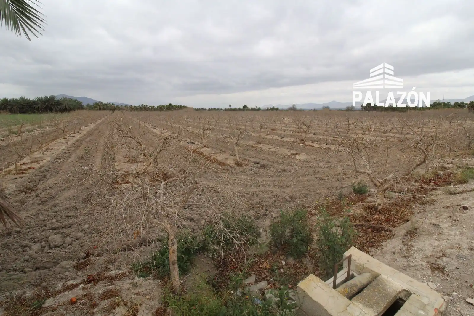 Terreno rustico in vendita a Crevillent, imagen 3