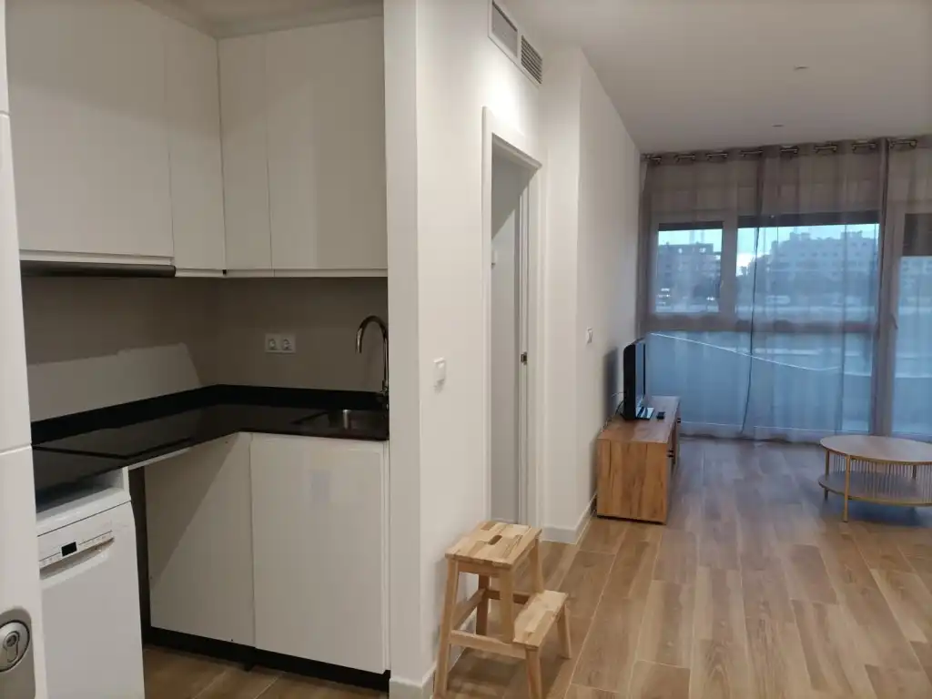 Apartments for rent in Avenida Elvas