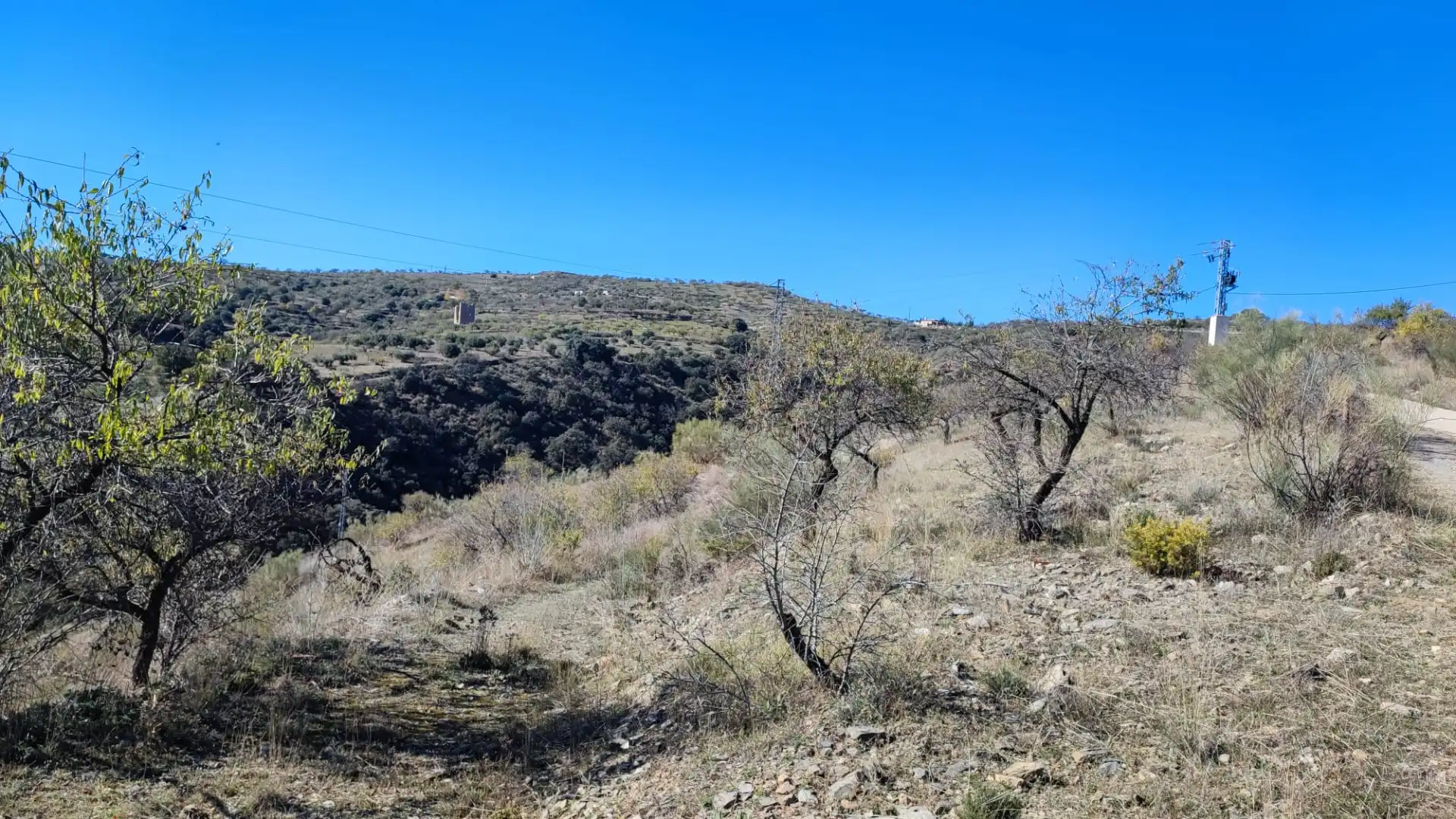 Land for sale in Alcudia de Monteagud