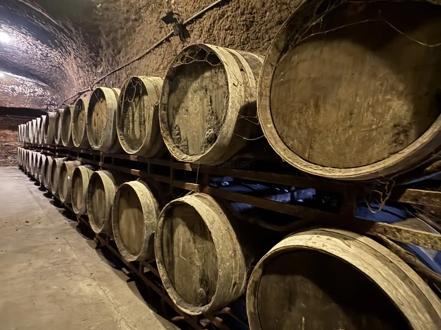 Altres en venda a Anguciana - CL BODEGAS, imagen 4