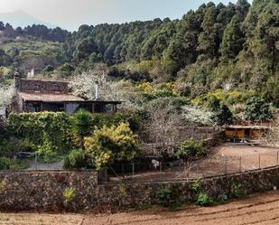 Jardí de Casa o xalet en venda en Icod de los Vinos amb Jardí privat, Terrassa i Piscina comunitària