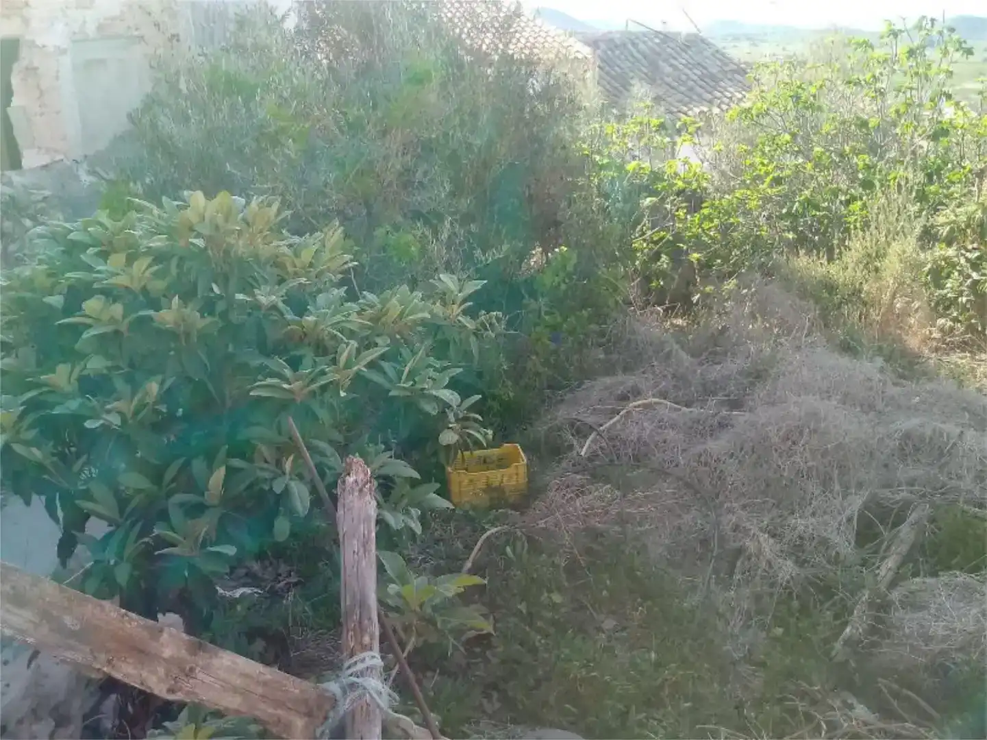 Pis en venda en Bullas, Murcia